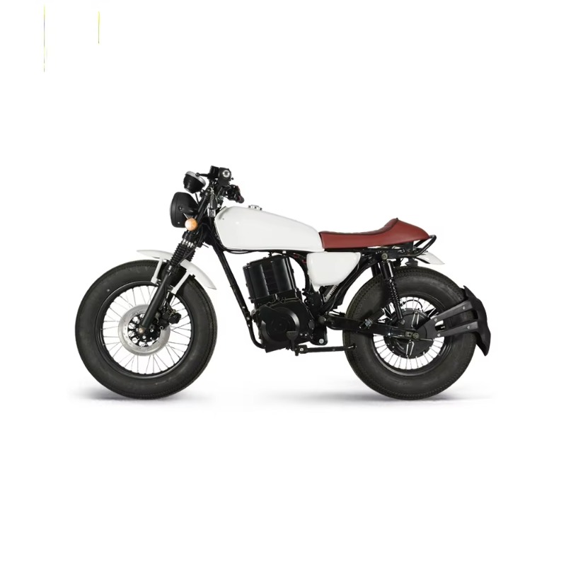 دراجة نارية كهربائية رياضية لل - مراجعة Electric Scooter Adults وسعره